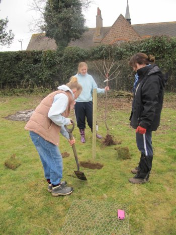 Phew, this digging is hard work!